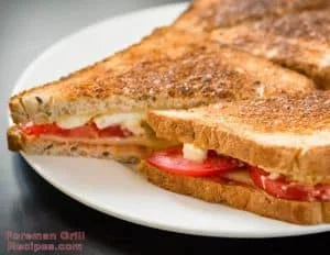 Quick and Easy Turkey Melt Recipe